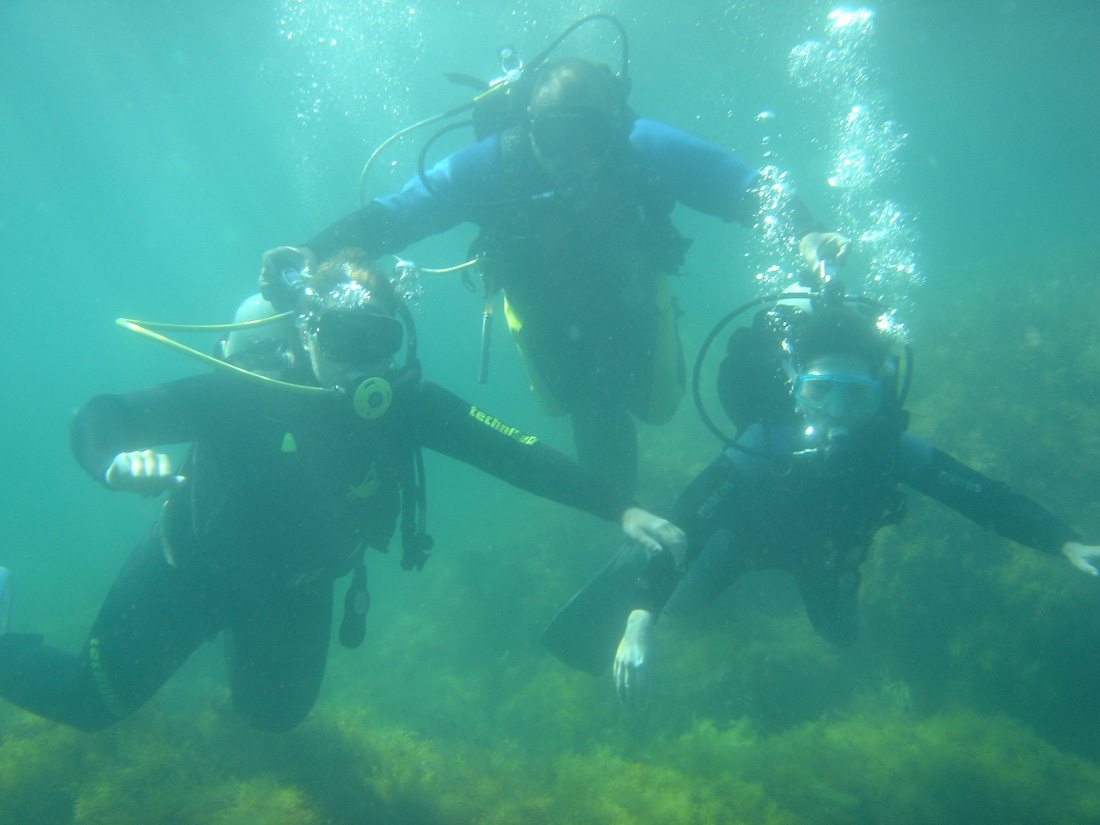 Дайвинг Дайвинг на отдыхе в Крыму