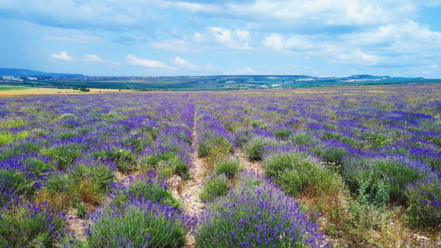Места для красивых фото Места для красивых фото в Крыму
