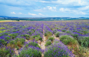Крымский Прованс в Бахчисарайском районе